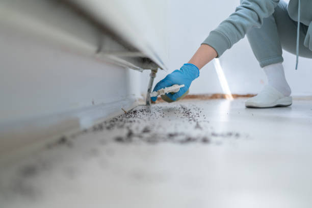 Best Commercial Pest Control Services  in Yeadon, PA